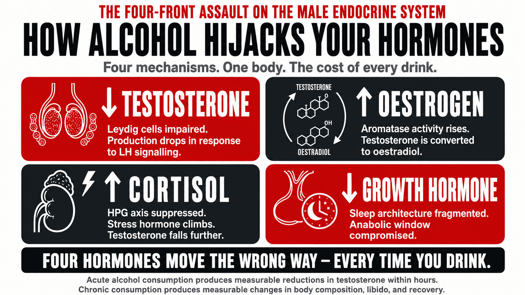Infographic titled 'The Four-Front Assault on the Male Endocrine System — How Alcohol Hijacks Your Hormones — four mechanisms. One body. The cost of every drink.' arranged as a 2x2 grid: ↓ Testosterone (Leydig cells impaired, production drops in response to LH signalling), ↑ Oestrogen (aromatase activity rises, testosterone converted to oestradiol), ↑ Cortisol (HPG axis suppressed, stress hormone climbs, testosterone falls further), ↓ Growth Hormone (sleep architecture fragmented, anabolic window compromised), closing 'Four hormones move the wrong way — every time you drink. Acute alcohol consumption produces measurable reductions in testosterone within hours. Chronic consumption produces measurable changes in body composition, libido, and recovery.'