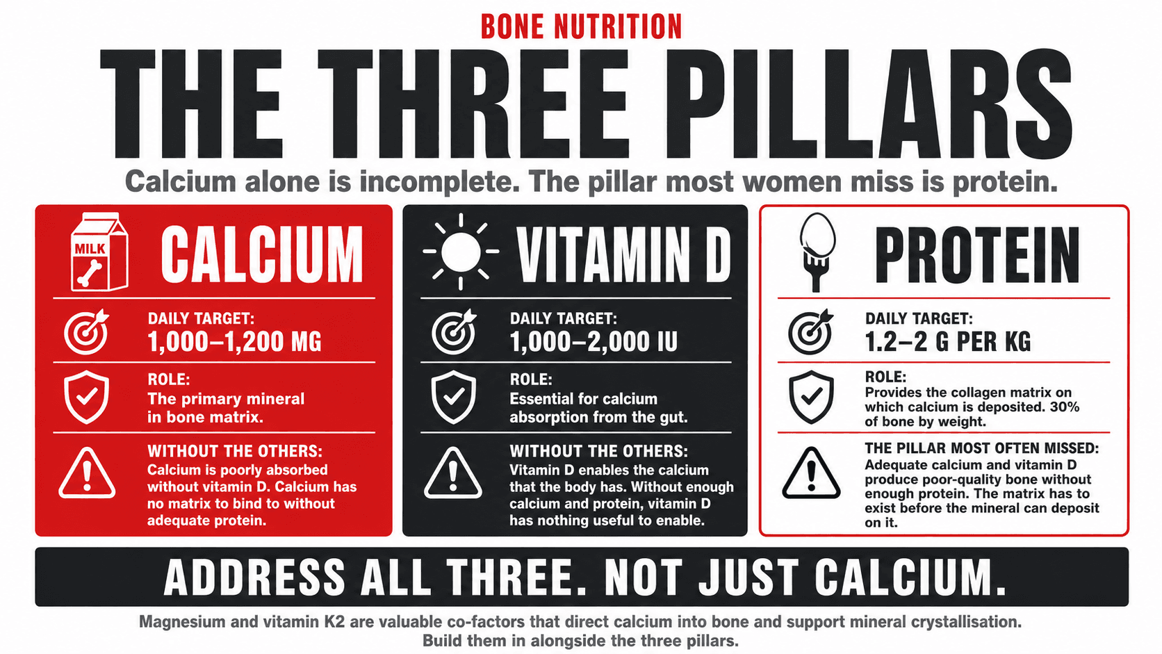 Infographic titled 'The Three Pillars of Bone Nutrition' presented as a three-panel diagram of calcium for bone mineralisation, vitamin D for calcium absorption, and protein for the collagen matrix on which mineral is deposited, illustrating the article's argument that all three nutrients are required together and that protein is the pillar most consistently overlooked in women's bone health
