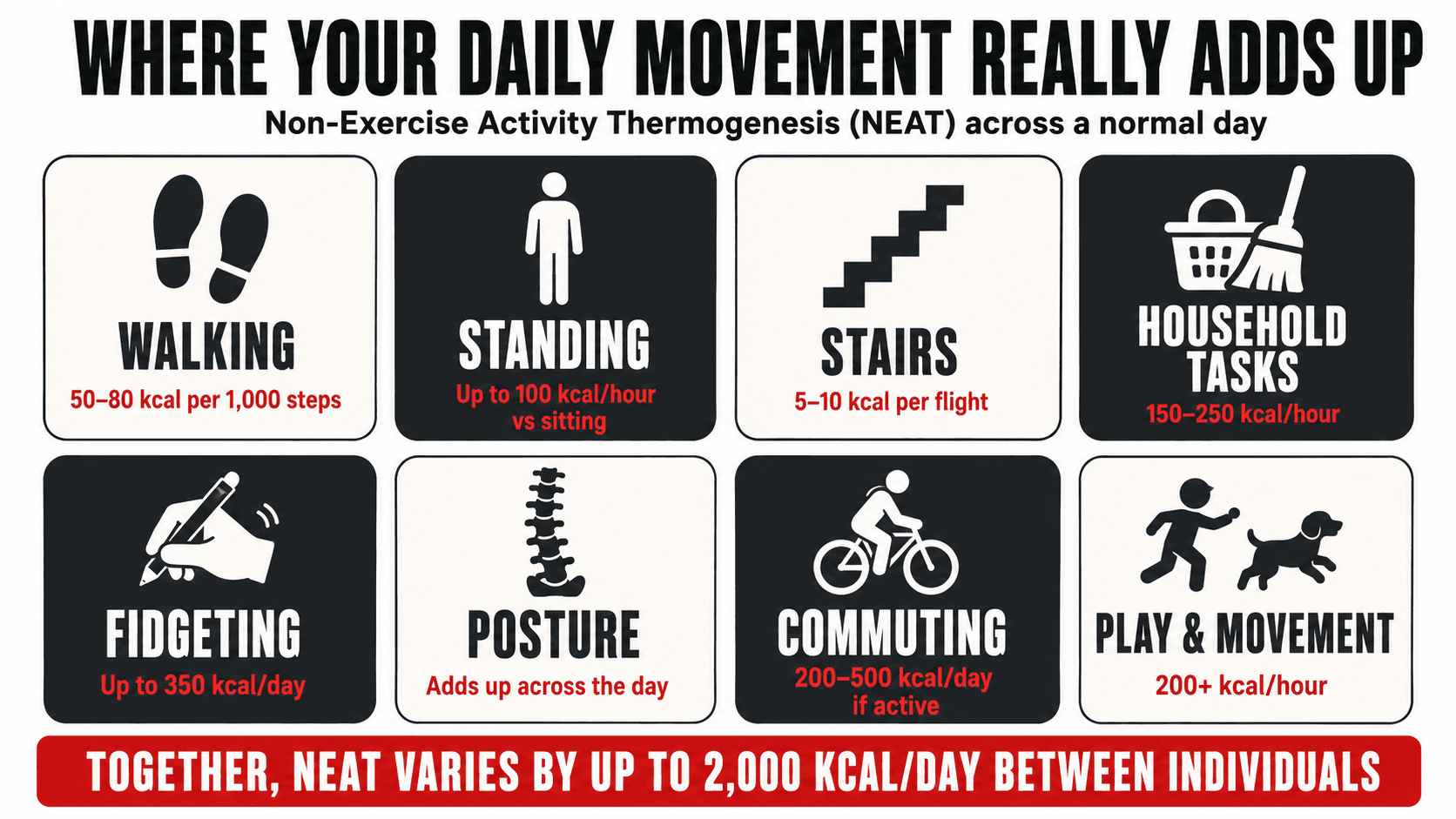 Infographic illustrating NEAT activities throughout the day such as walking, standing, and fidgeting