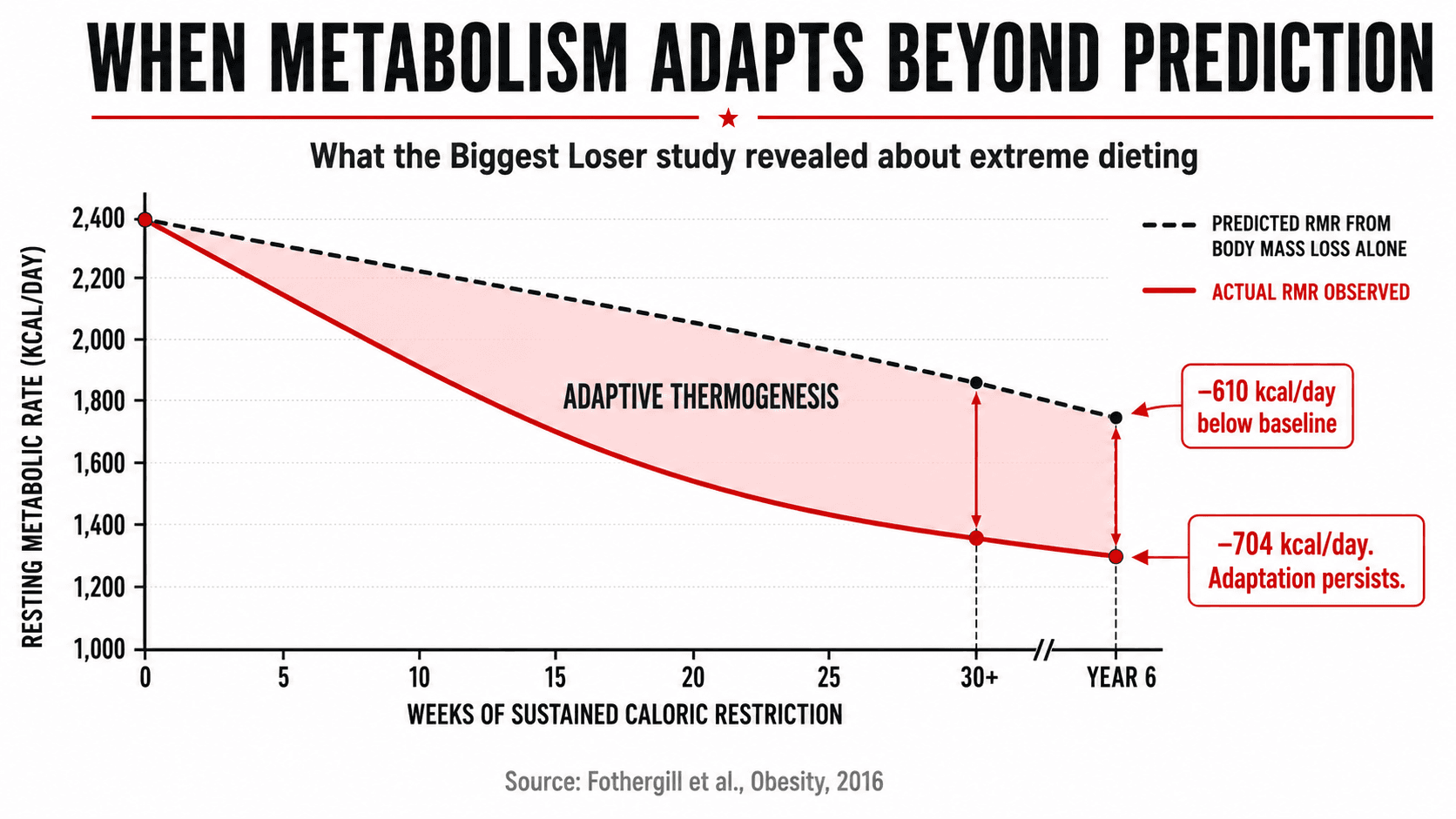 Graph showing metabolic rate declining over time during sustained caloric restriction