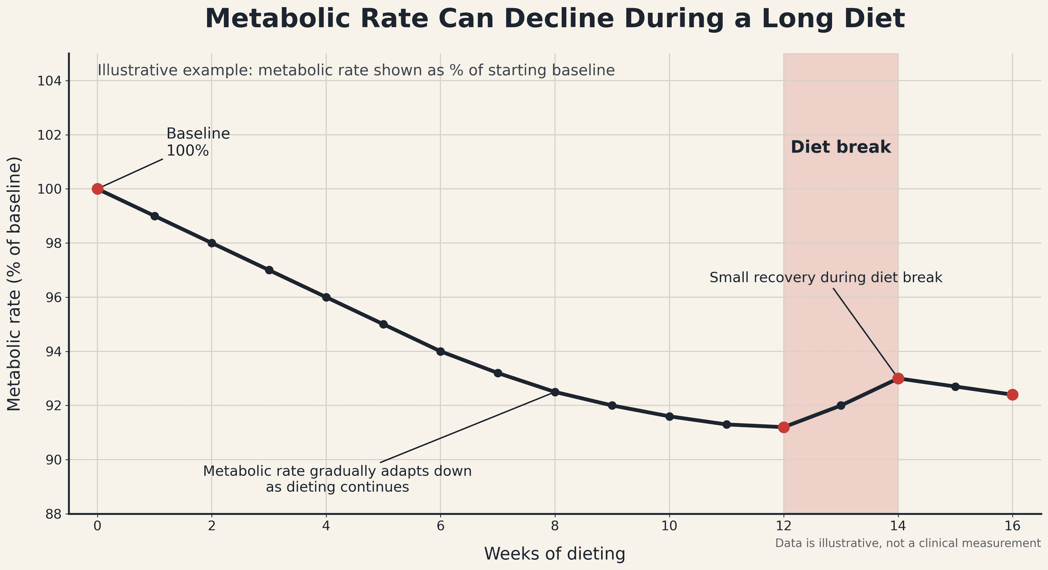 Infographic showing declining metabolic rate over weeks of dieting with a recovery period during a diet break