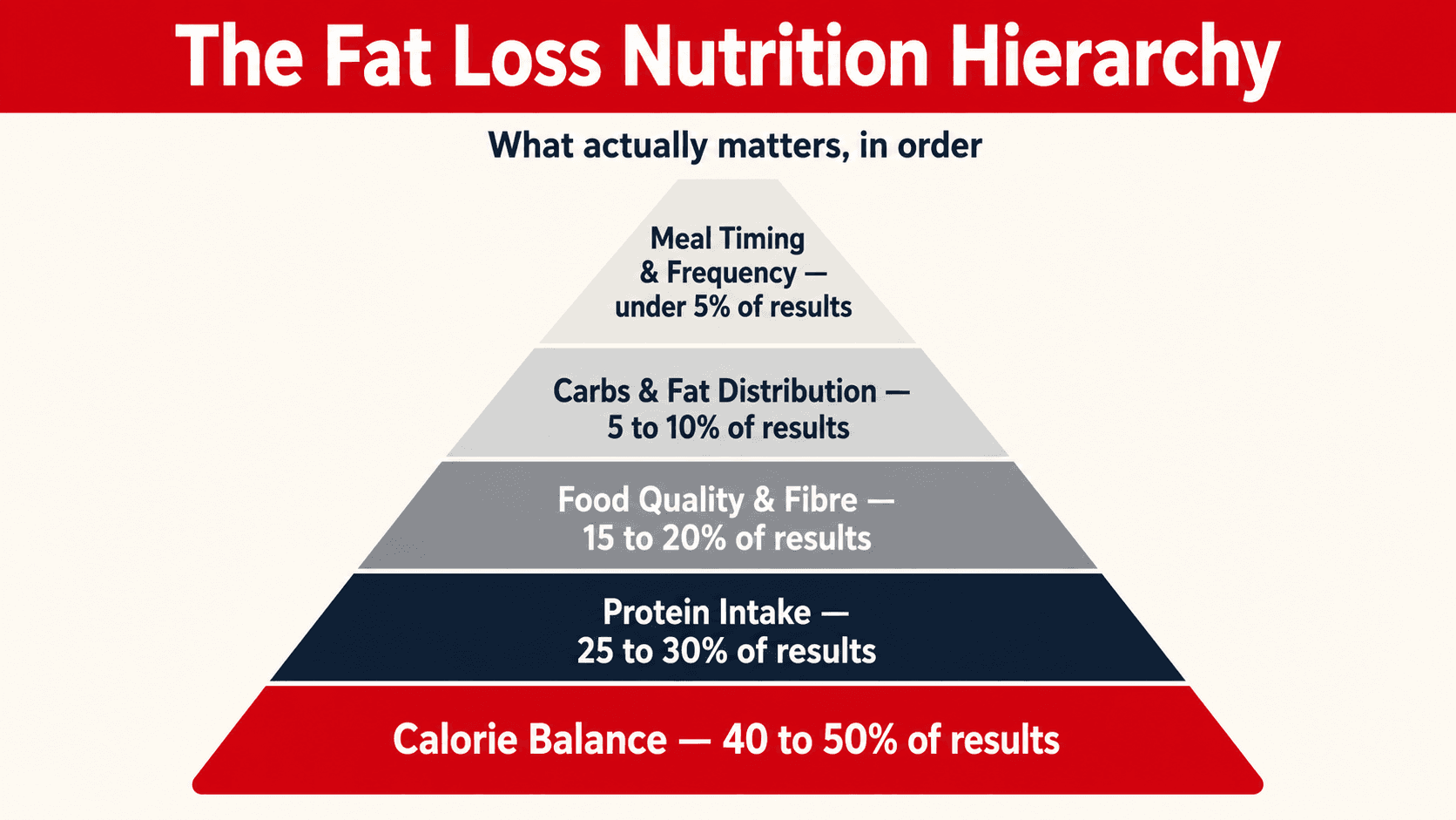The Fat Loss Nutrition Hierarchy pyramid: calorie balance at the base accounting for 40 to 50 percent of results, protein intake 25 to 30 percent, food quality and fibre 15 to 20 percent, carb and fat distribution 5 to 10 percent, and meal timing under 5 percent at the top