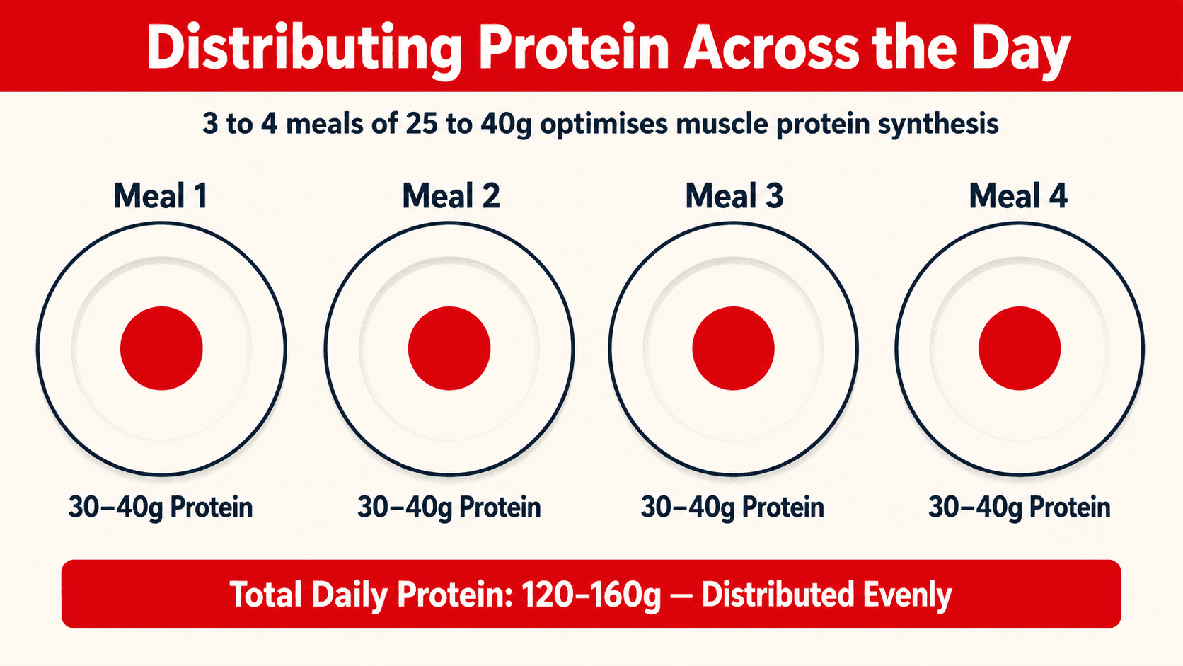 Diagram of protein distribution across the day: four meals each containing 30 to 40 grams of protein, totalling 120 to 160 grams daily, evenly spread to optimise muscle protein synthesis