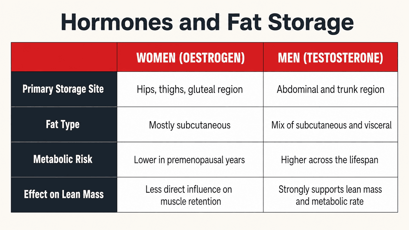 Hormonal influences on fat storage — oestrogen directing fat to the hips and thighs in premenopausal women while testosterone supports lean mass and limits visceral fat in men