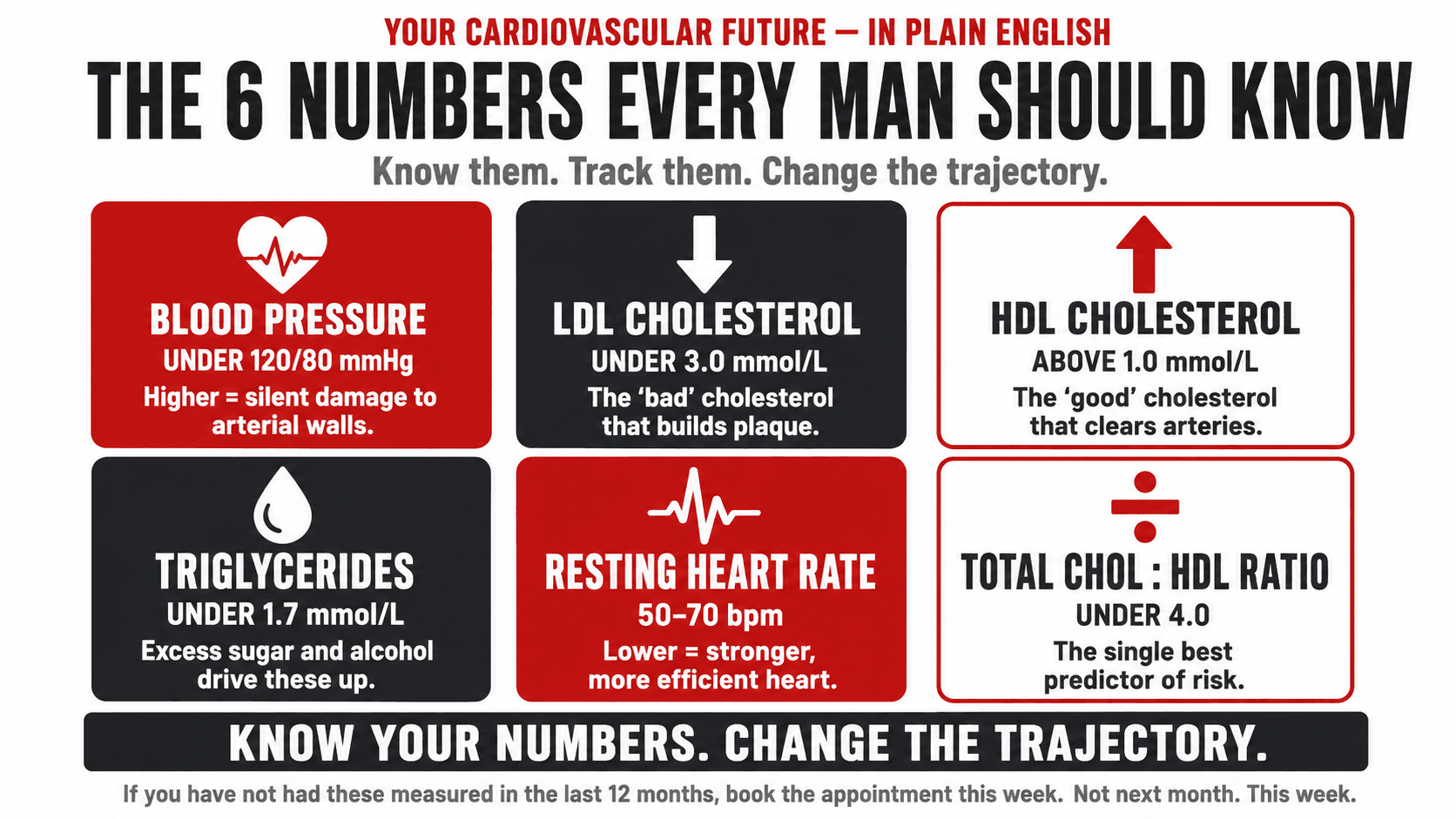 Infographic titled 'Your Cardiovascular Future — In Plain English — The 6 Numbers Every Man Should Know — know them, track them, change the trajectory' arranged as a 3x2 grid of panels: Blood Pressure (under 120/80 mmHg — higher means silent damage to arterial walls), LDL Cholesterol (under 3.0 mmol/L — the 'bad' cholesterol that builds plaque), HDL Cholesterol (above 1.0 mmol/L — the 'good' cholesterol that clears arteries), Triglycerides (under 1.7 mmol/L — excess sugar and alcohol drive these up), Resting Heart Rate (50–70 bpm — lower is stronger, more efficient heart), Total Chol : HDL Ratio (under 4.0 — the single best predictor of risk), closing 'Know your numbers. Change the trajectory. If you have not had these measured in the last 12 months, book the appointment this week. Not next month. This week.'