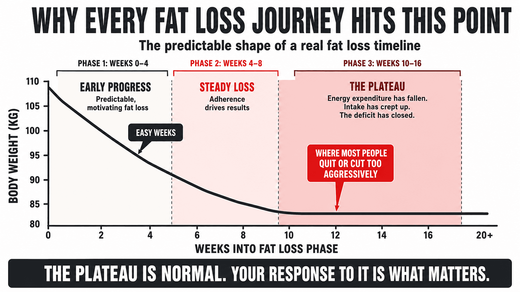 Chart showing the typical fat loss timeline with initial progress followed by a predictable plateau