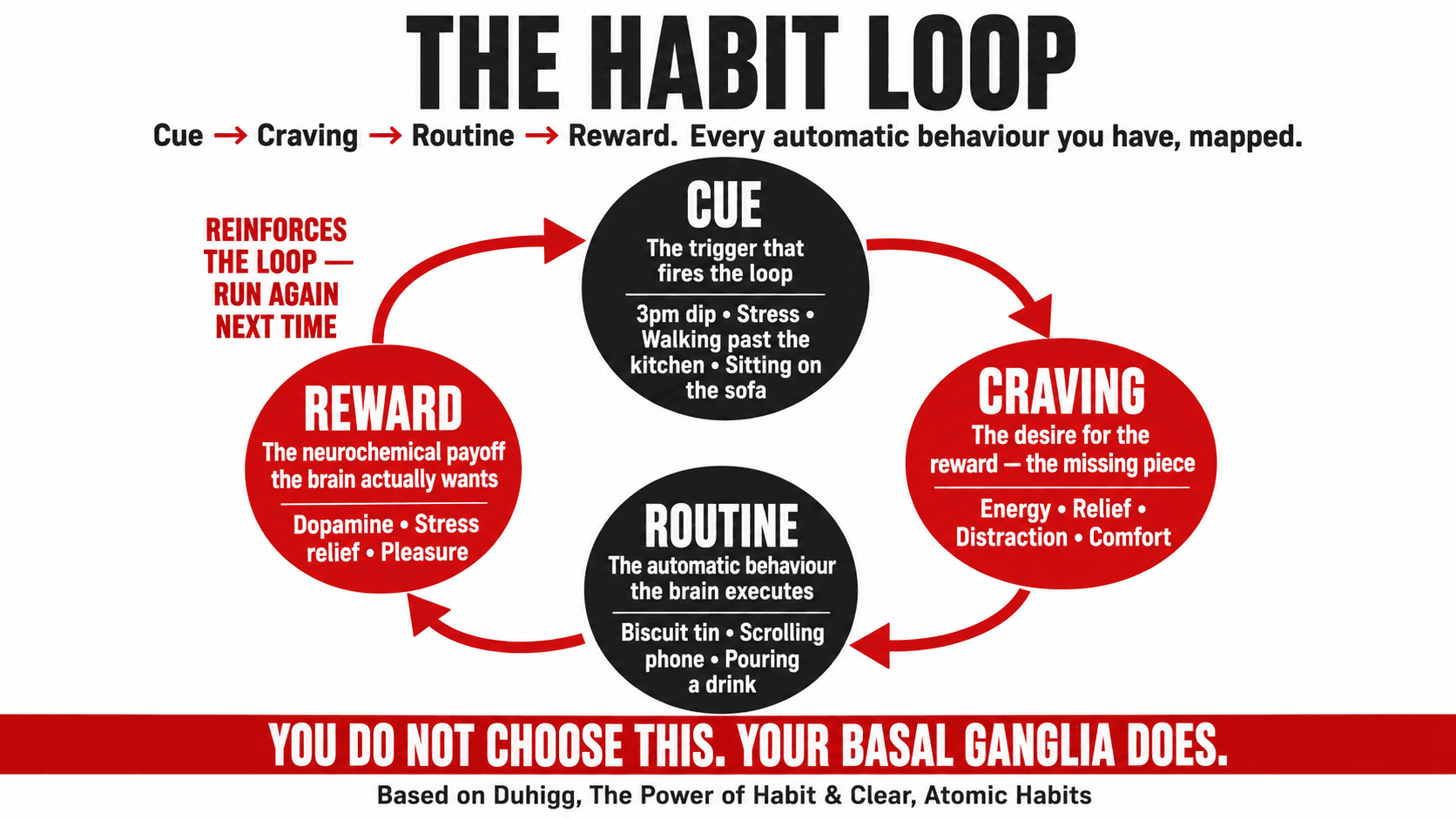 Ann Graybiel's MIT maze experiment showing brain activity shifting from the prefrontal cortex to the basal ganglia as behaviour becomes habituated over repeated trials