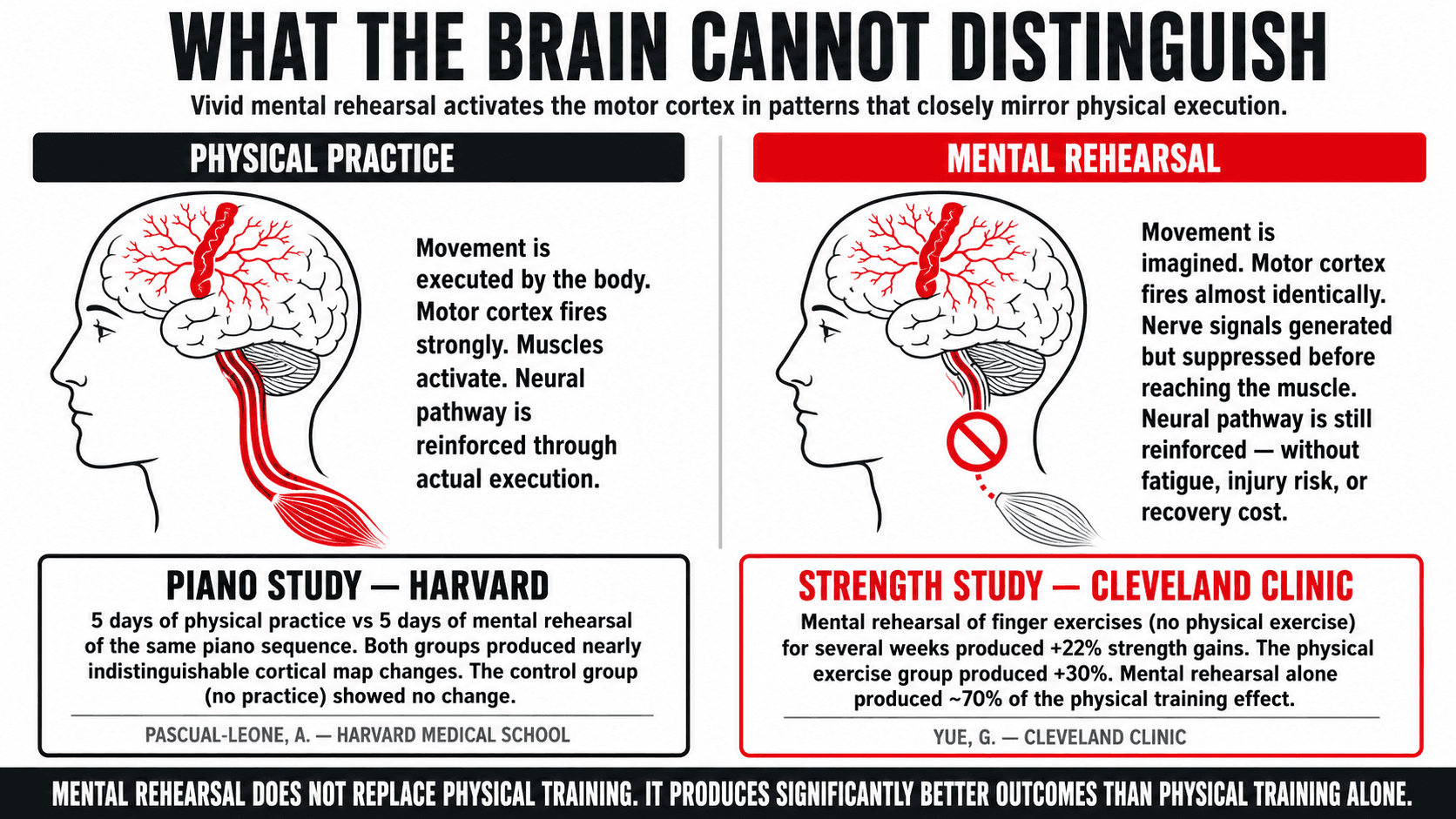 Brain scan imagery showing overlapping neural activation patterns during physical movement and vivid mental rehearsal of the same movement