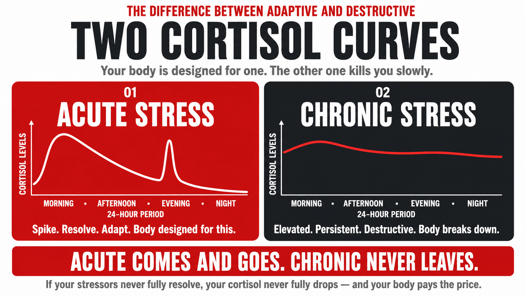 Infographic titled 'The Difference Between Adaptive and Destructive — Two Cortisol Curves — your body is designed for one. The other one kills you slowly.' contrasting two side-by-side line graphs of cortisol levels across a 24-hour day: 01 Acute Stress (a single sharp spike that resolves back to baseline — 'spike, resolve, adapt, body designed for this') versus 02 Chronic Stress (a persistently elevated, never-falling line — 'elevated, persistent, destructive, body breaks down'), closing 'Acute comes and goes. Chronic never leaves. If your stressors never fully resolve, your cortisol never fully drops — and your body pays the price.'