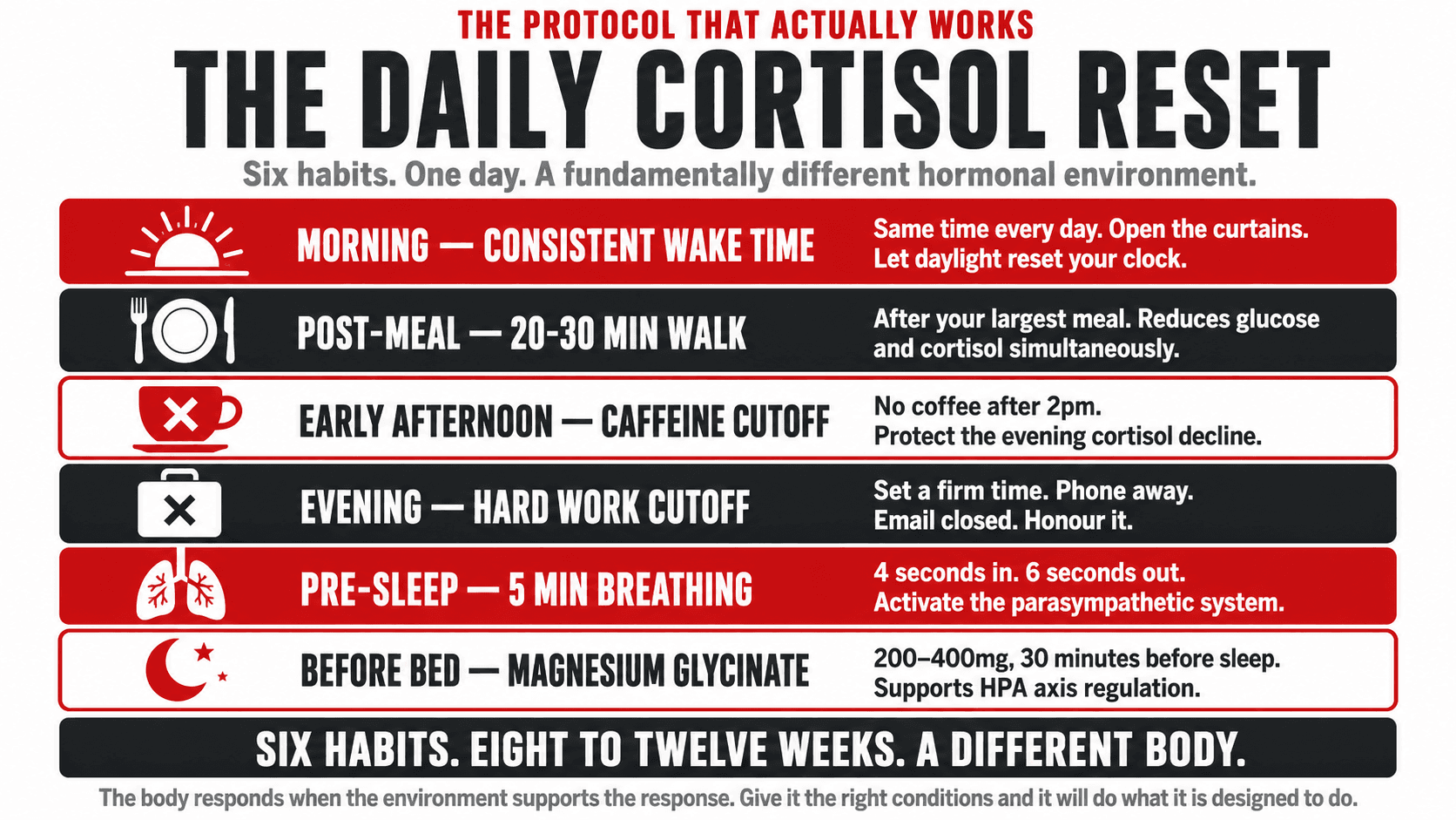 Infographic titled 'The Protocol That Actually Works — The Daily Cortisol Reset — six habits. One day. A fundamentally different hormonal environment.' showing six stacked daily habits with icons: Morning — Consistent Wake Time (same time every day, open the curtains, let daylight reset your clock), Post-Meal — 20–30 Min Walk (after your largest meal, reduces glucose and cortisol simultaneously), Early Afternoon — Caffeine Cutoff (no coffee after 2pm, protect the evening cortisol decline), Evening — Hard Work Cutoff (set a firm time, phone away, email closed, honour it), Pre-Sleep — 5 Min Breathing (4 seconds in, 6 seconds out, activate the parasympathetic system), Before Bed — Magnesium Glycinate (200–400mg, 30 minutes before sleep, supports HPA axis regulation), closing 'Six habits. Eight to twelve weeks. A different body. The body responds when the environment supports the response. Give it the right conditions and it will do what it is designed to do.'