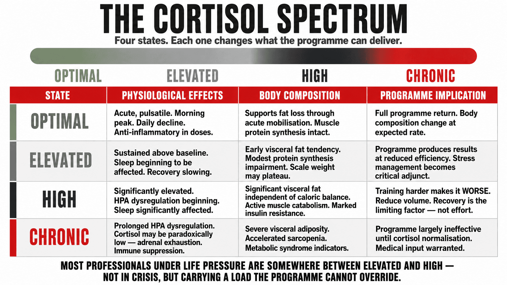 A spectrum chart mapping four cortisol states from optimal function through chronic elevation and their body composition consequences