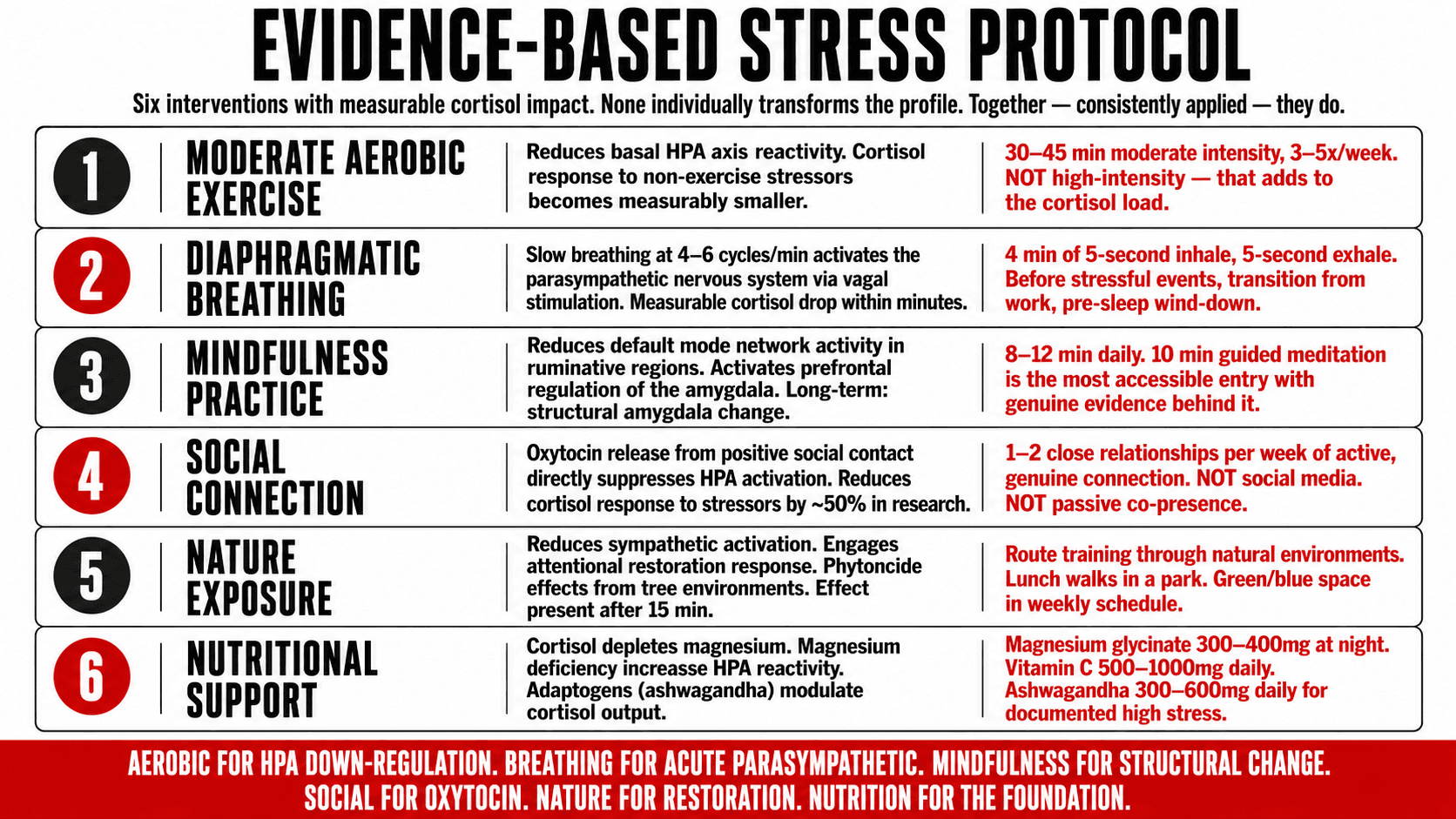 A visual representation of evidence-based stress management interventions including breathing protocols, moderate exercise, and mindfulness practice