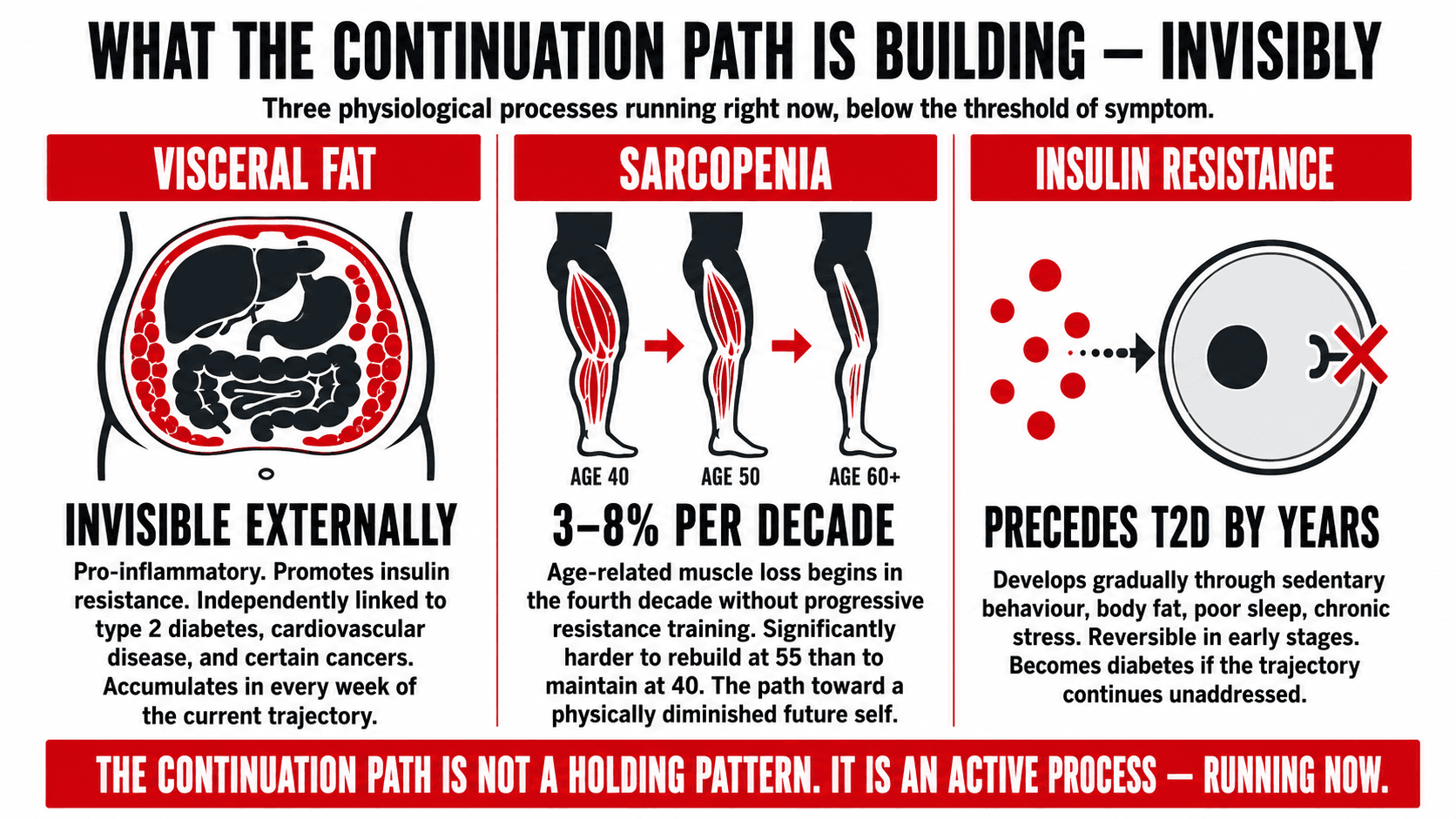 The physiology of incremental neglect — a cross-section diagram showing visceral fat accumulation, sarcopenic muscle loss, and insulin resistance developing silently below the threshold of visible symptoms