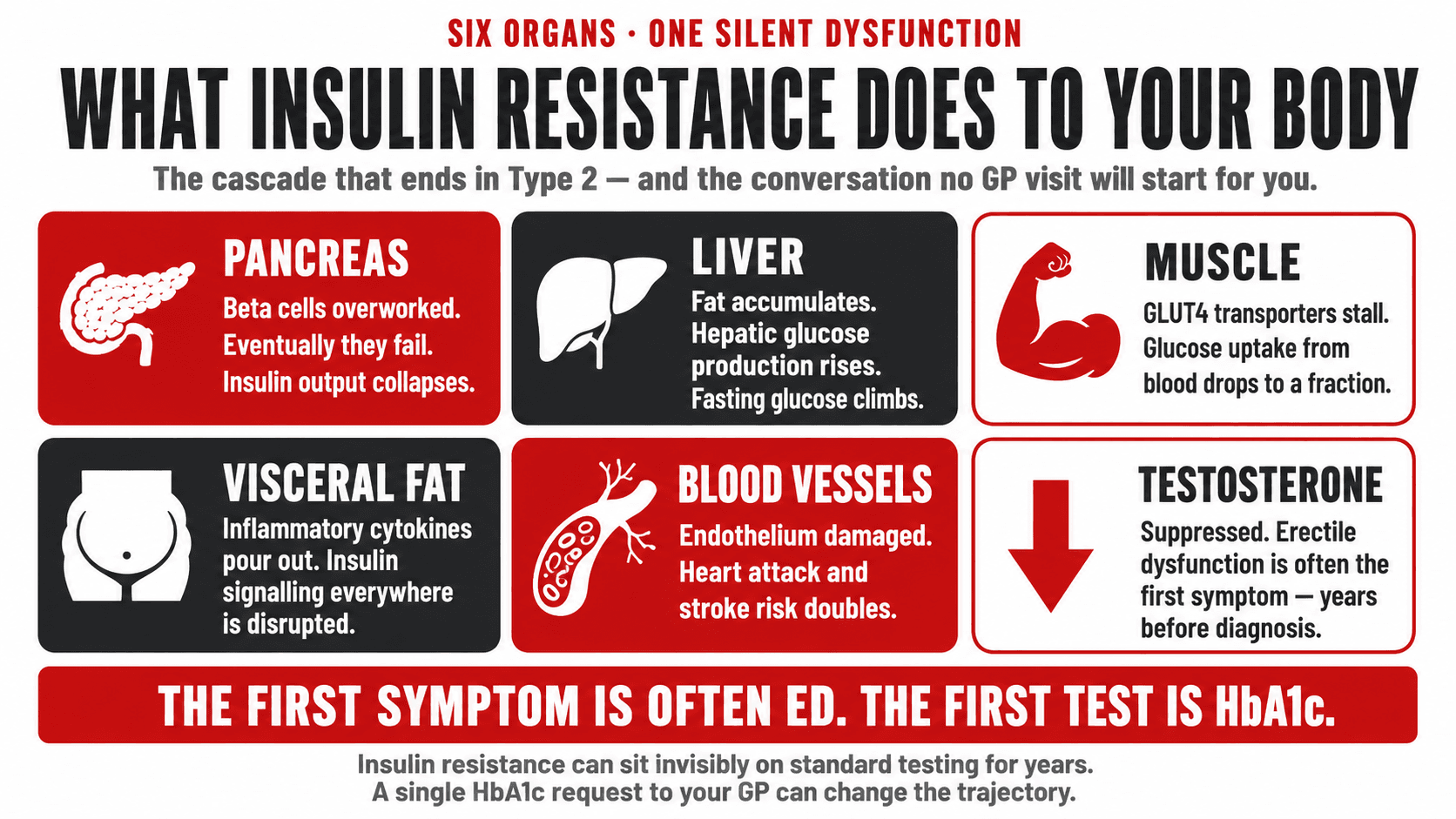 Infographic titled 'Six Organs · One Silent Dysfunction — What Insulin Resistance Does to Your Body — the cascade that ends in Type 2, and the conversation no GP visit will start for you' arranged as a 3x2 grid of organ panels: Pancreas (beta cells overworked, eventually fail, insulin output collapses), Liver (fat accumulates, hepatic glucose production rises, fasting glucose climbs), Muscle (GLUT4 transporters stall, glucose uptake from blood drops to a fraction), Visceral Fat (inflammatory cytokines pour out, insulin signalling disrupted everywhere), Blood Vessels (endothelium damaged, heart attack and stroke risk doubles), Testosterone (suppressed — erectile dysfunction is often the first symptom, years before diagnosis), closing 'The first symptom is often ED. The first test is HbA1c. Insulin resistance can sit invisibly on standard testing for years. A single HbA1c request to your GP can change the trajectory.'