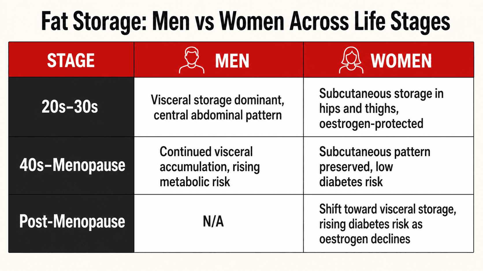 Infographic illustrating how oestrogen promotes subcutaneous fat storage in premenopausal women while men and post-menopausal women accumulate more visceral fat
