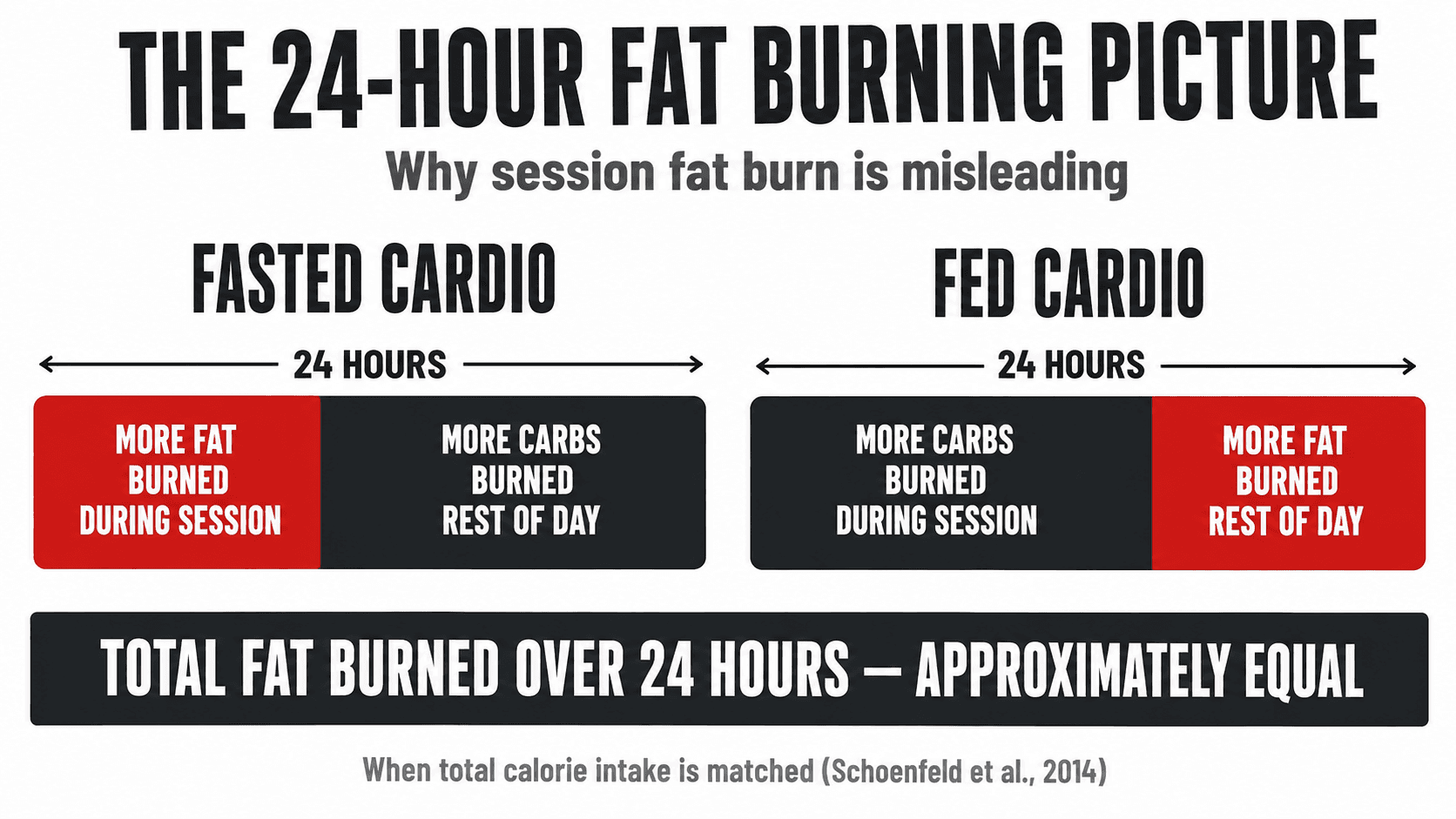 Comparison infographic titled The 24-Hour Fat Burning Picture, contrasting fasted cardio (more fat burned during the session, more carbs burned the rest of the day) with fed cardio (more carbs burned during the session, more fat burned the rest of the day), captioned Total Fat Burned Over 24 Hours — Approximately Equal When Total Calorie Intake Is Matched (Schoenfeld et al., 2014)