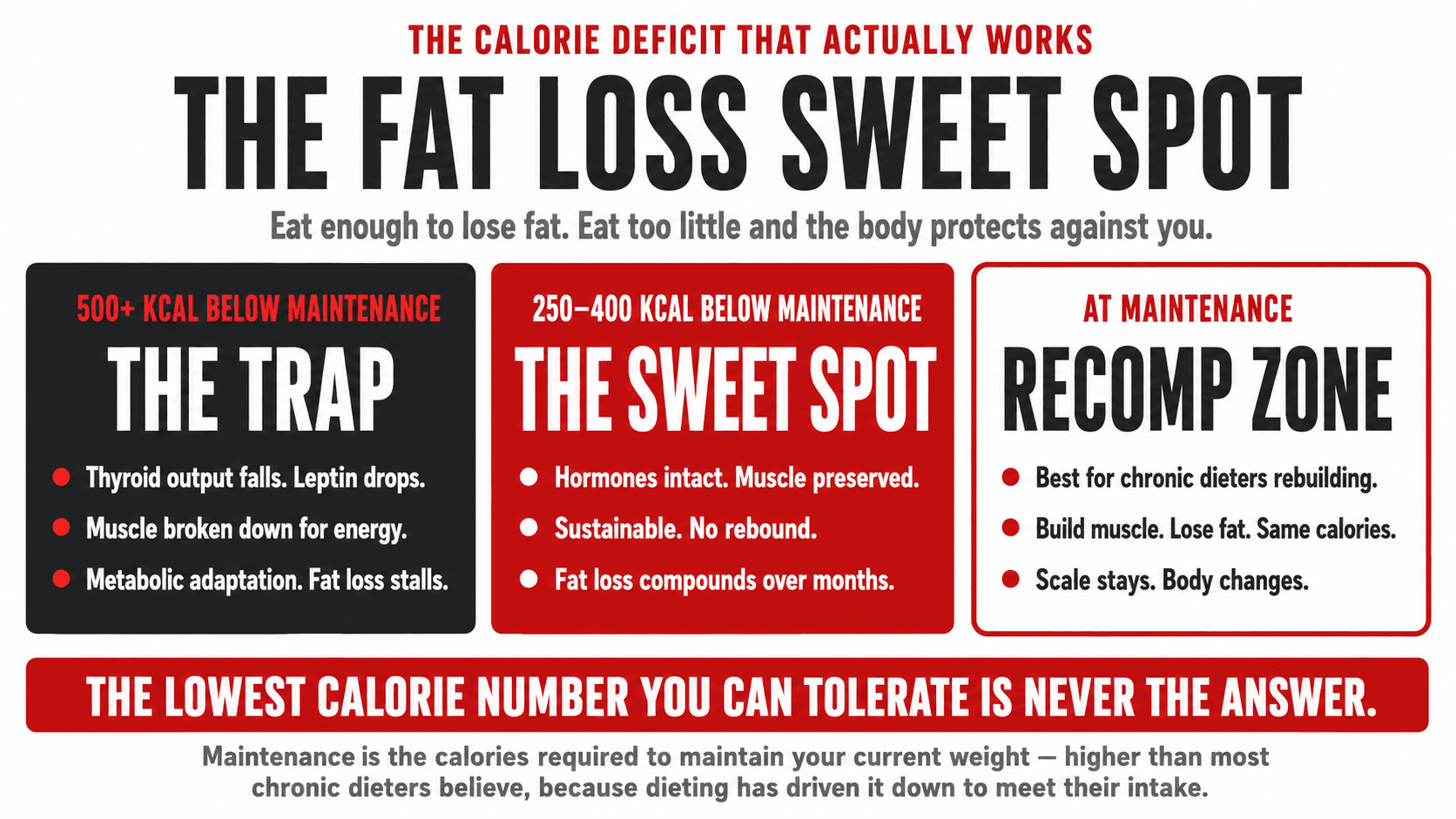 Infographic titled 'The Fat Loss Sweet Spot' presented as a three-panel deficit zone diagram: a too-aggressive deficit (under 1,200 to 1,400 kcal that drives the undereating trap and metabolic adaptation), the sustainable sweet spot (250 to 400 kcal below true maintenance combined with resistance training and adequate protein where fat loss is sustainable), and the maintenance zone (at or above true maintenance, useful for body recomposition and reverse dieting)