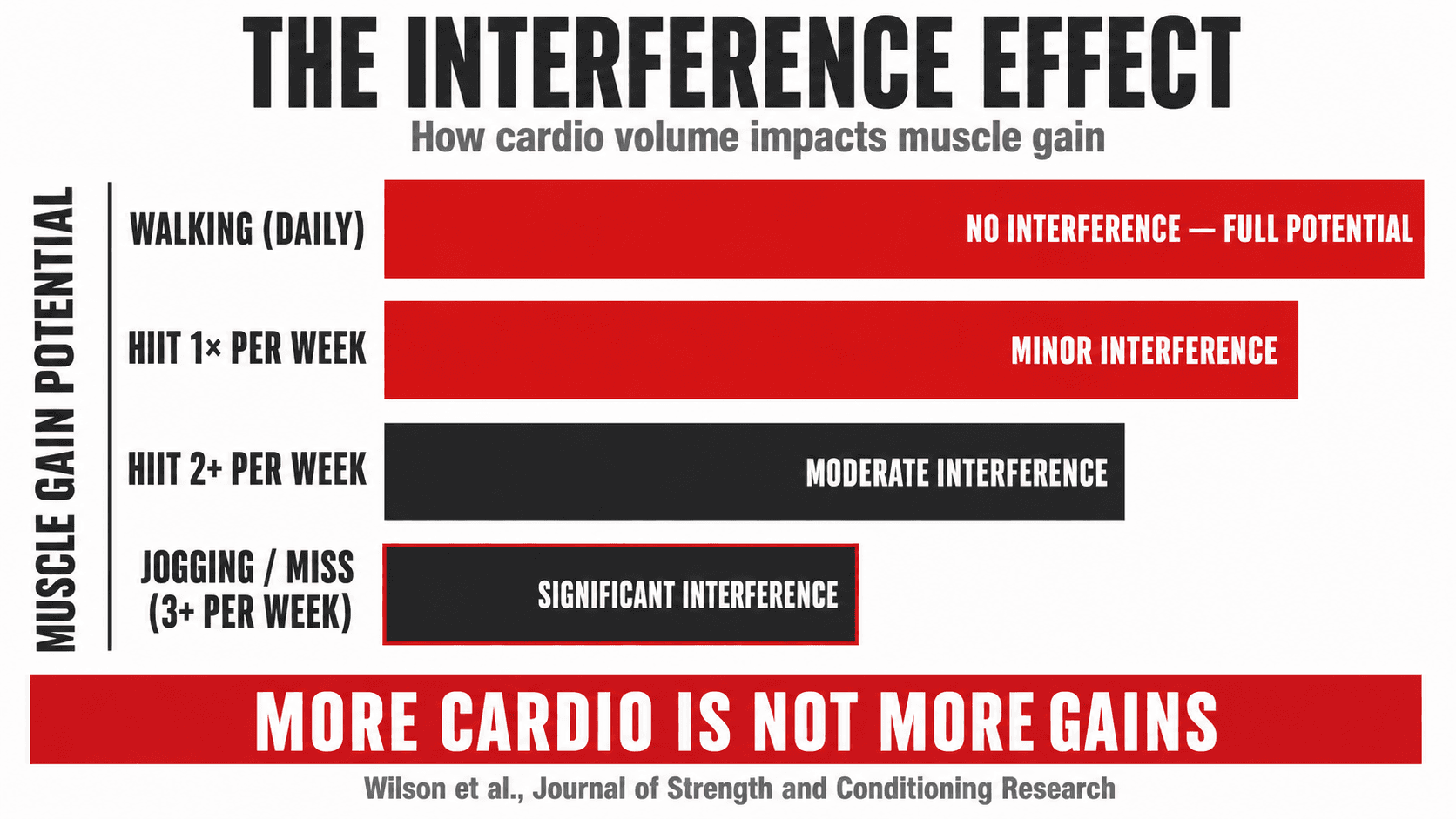 Infographic titled The Interference Effect, How Cardio Volume Impacts Muscle Gain — a horizontal bar chart of muscle gain potential where daily walking shows no interference and full potential, one HIIT session per week shows minor interference, two or more HIIT sessions per week shows moderate interference, and jogging or MISS three or more times per week shows significant interference — citing Wilson et al, Journal of Strength and Conditioning Research, with a bottom banner reading More Cardio Is Not More Gains