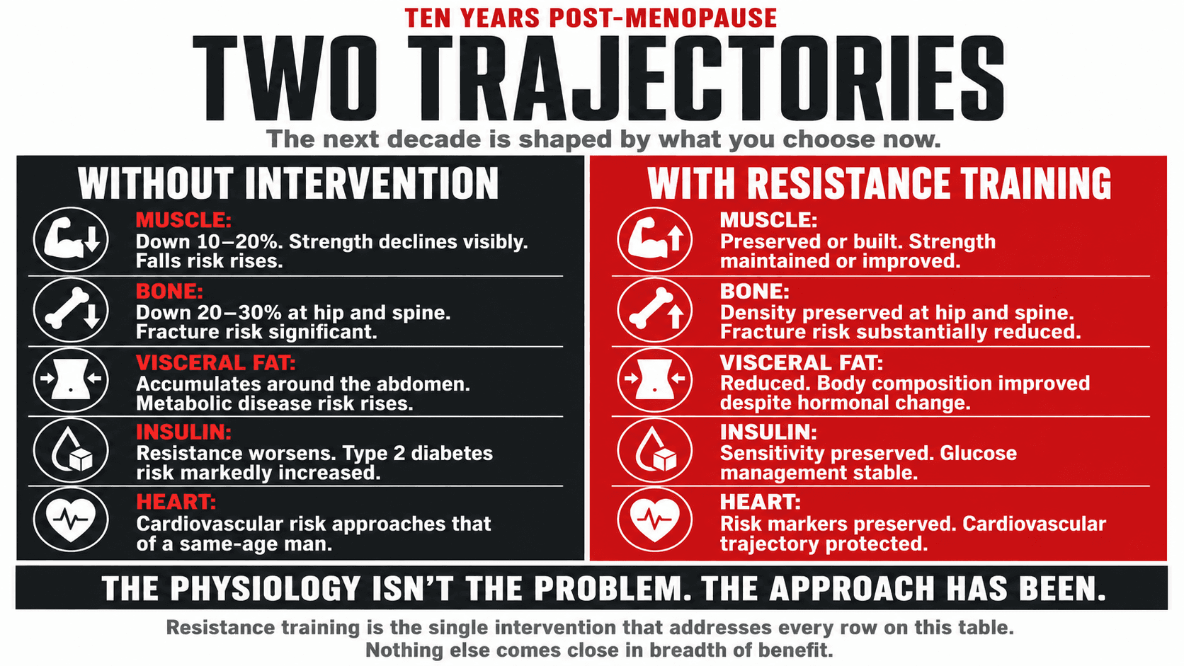 Infographic titled 'Two Trajectories: 10 Years Post-Menopause' presented as a two-column comparison: the without-intervention column (accelerated muscle loss, visceral fat accumulation, 2 to 3 percent annual bone density loss, rising LDL and blood pressure, deteriorating insulin sensitivity and cognition) alongside the with-resistance-training-nutrition-and-lifestyle column (preserved or built muscle, modified bone loss, protected cardiovascular and metabolic profile, sustained cognition) — capturing the article's argument that the difference between these two trajectories is the lifestyle response, not the physiology