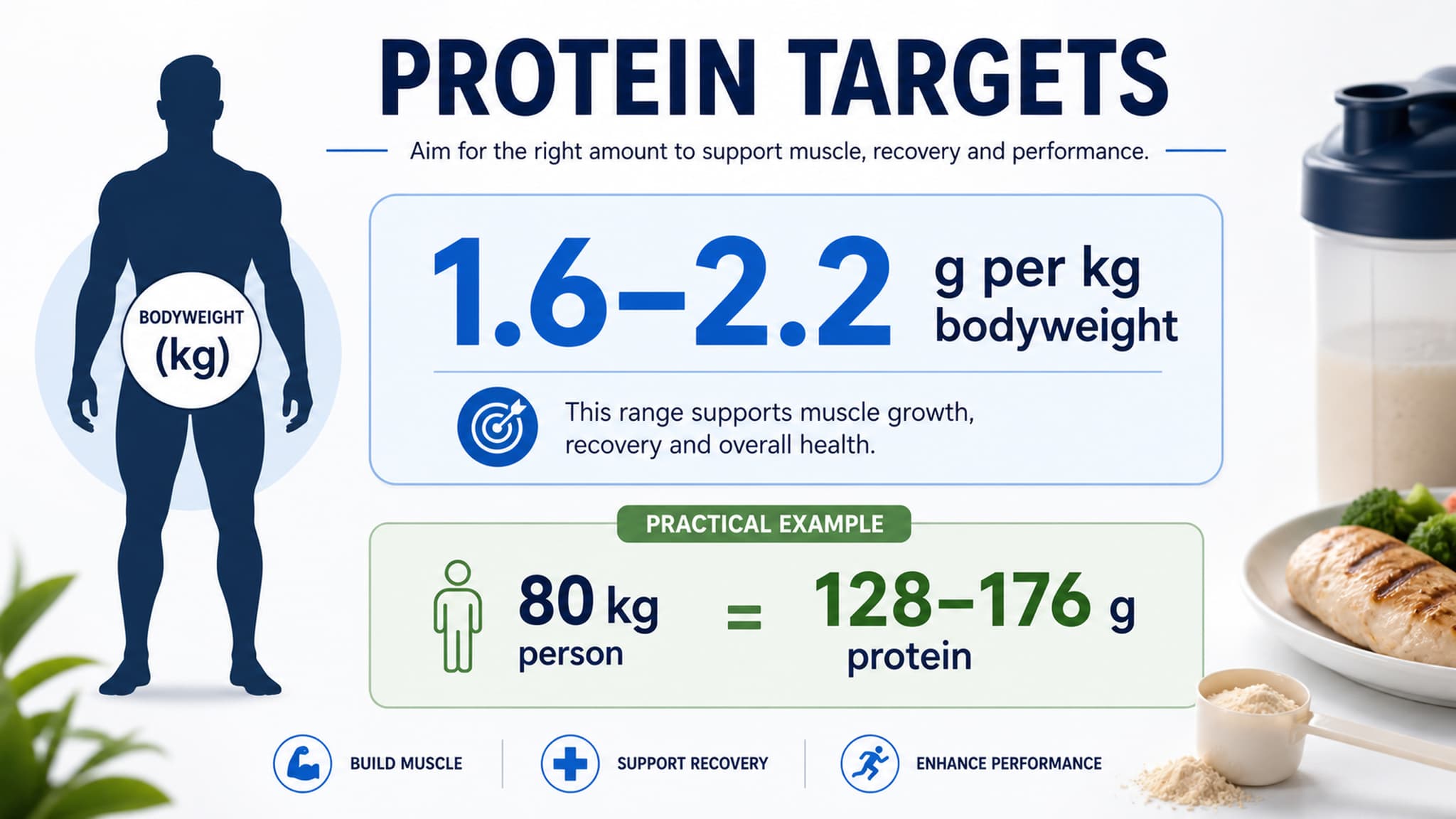 A well-portioned plate demonstrating 20 to 40 grams of protein per meal — the threshold that maximises muscle protein synthesis when spread across three to five meals a day