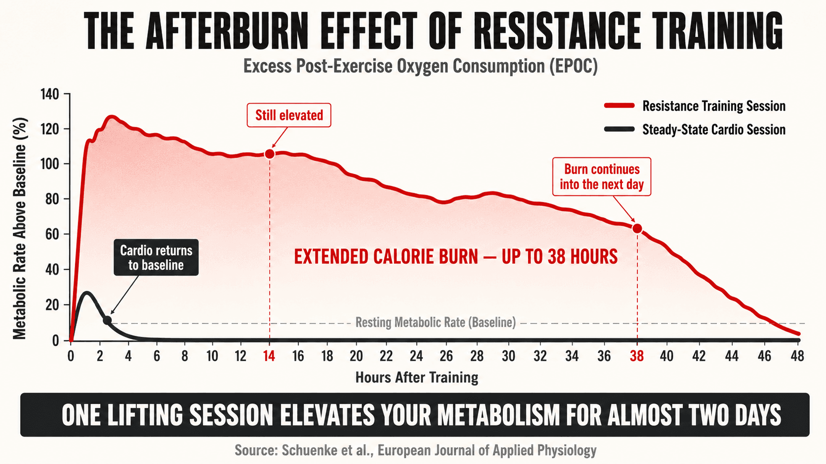 Line graph illustrating the EPOC metabolic afterburn effect of resistance training over time
