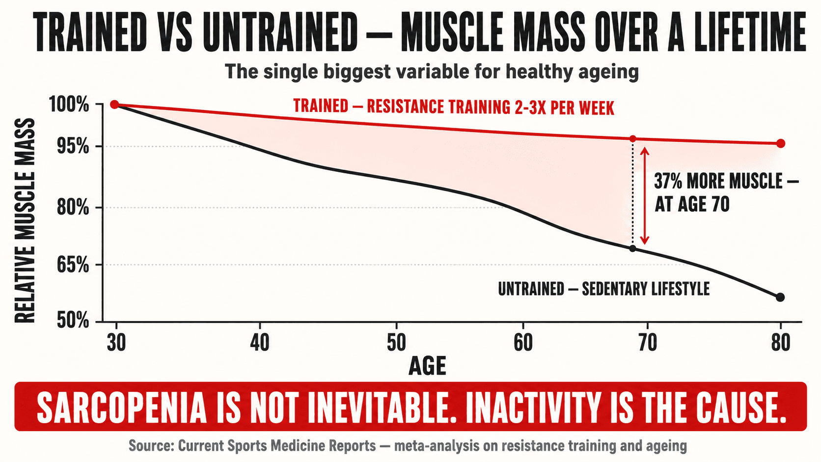 Infographic comparing muscle mass over the decades in trained versus untrained adults, showing the steep decline in muscle mass for those who do not strength train and the preservation of muscle for those who do — a visual companion to the decade by decade table above